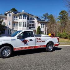 Getting Rid of Ticks in the Yard in Egg Harbor Township, NJ